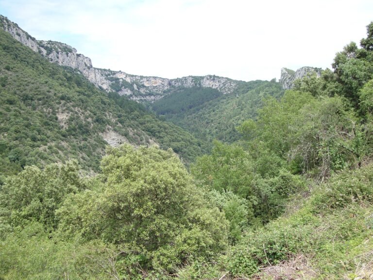 Ardèche en canoa: 3 días de río y 2 noches al aire libre