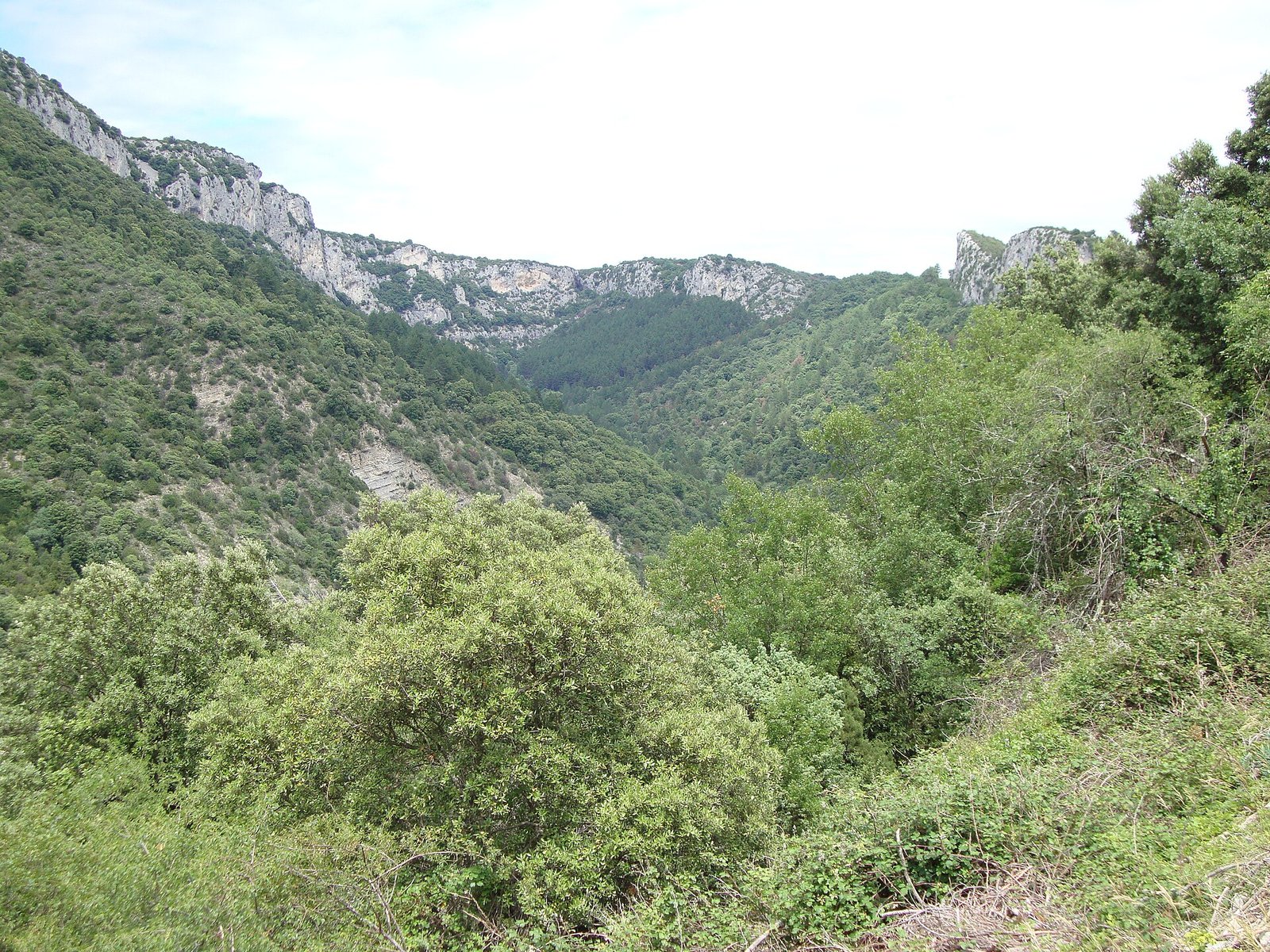 El paisaje de Chames, cerca de Vallon-Pont-d’Arc, en el entorno de las gargantas.